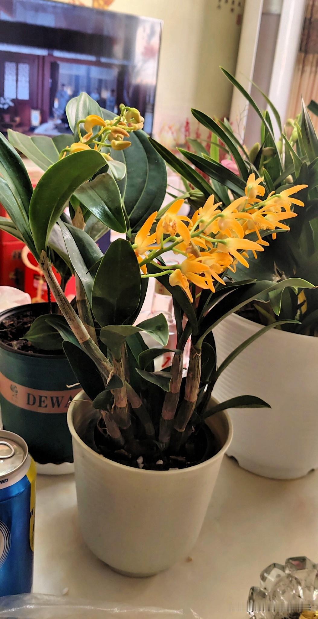 我会对自己说：“一切都是最好的安排。”感恩遇见。余生里善待自己