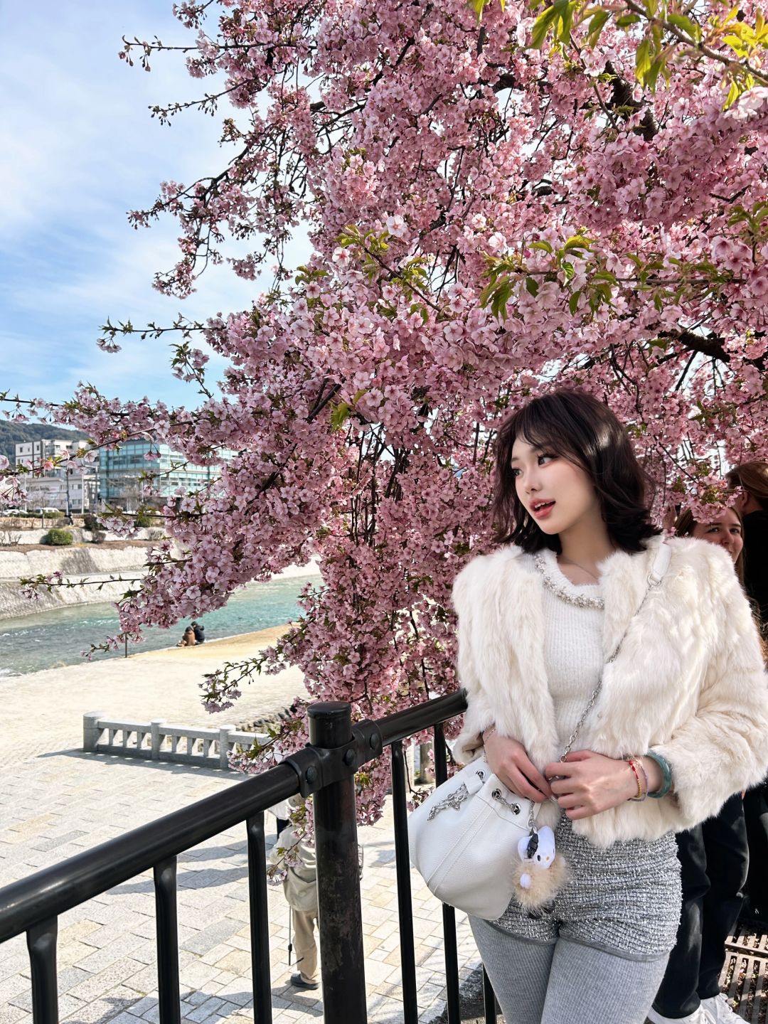 🌸现在的京都好美