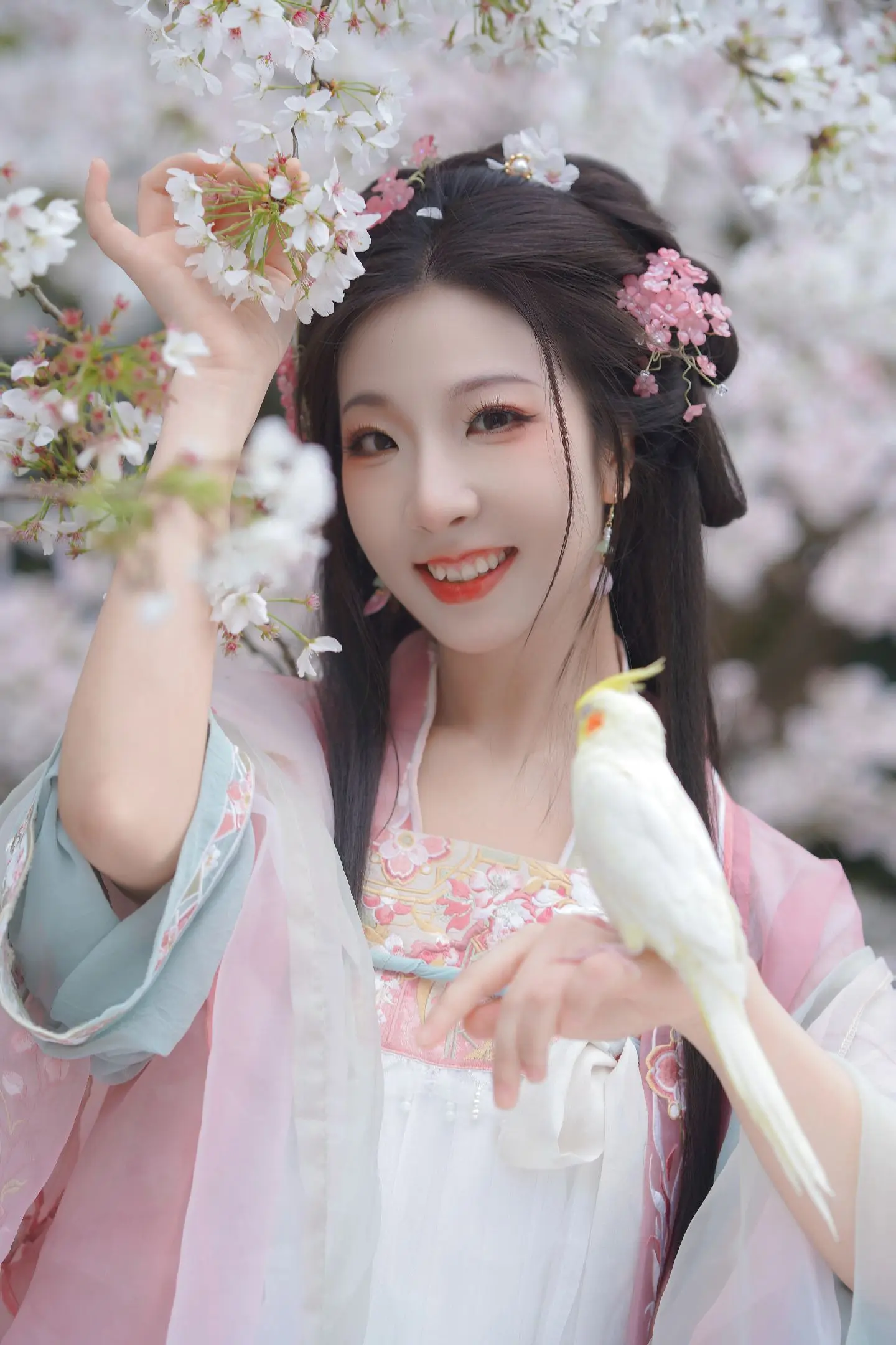借路人的小鸟拍了一下，好可爱呀～