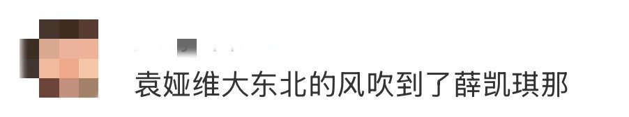 袁娅维大东北的风吹到了薛凯琪那 当《大东北我的家乡》的旋律从薛凯琪口中响起，文化