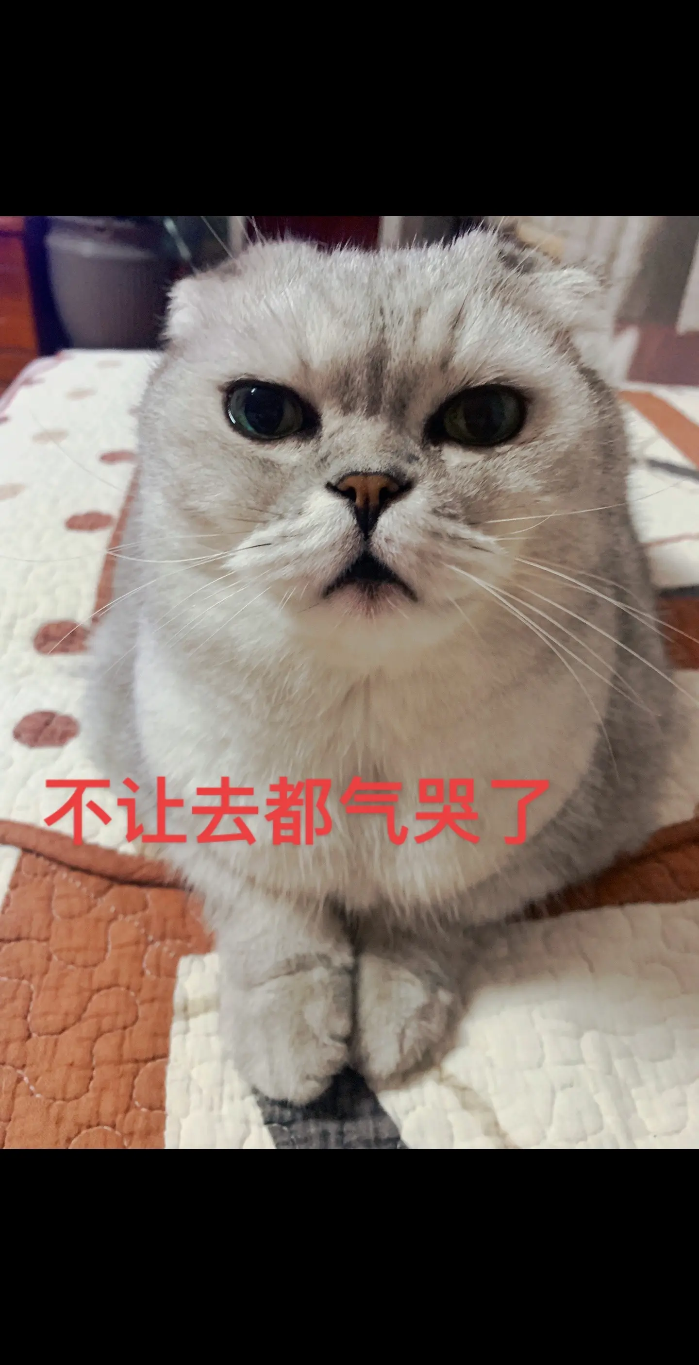 听话咱不去