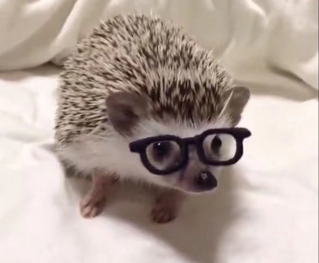 nerd 