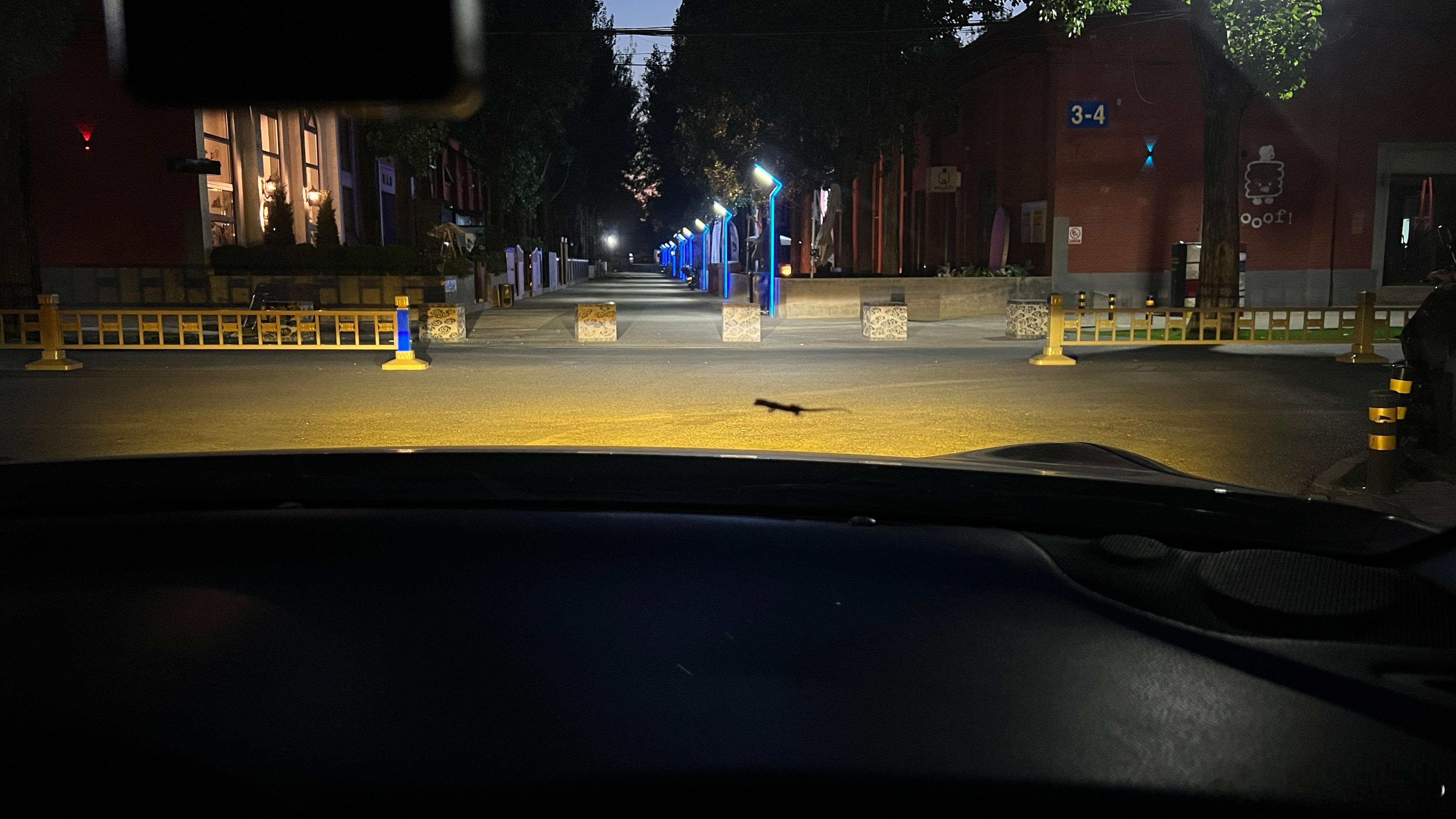 几天没开车，突然车上出现一只“quattro”车速起来抓的真稳啊🙈 ​​​