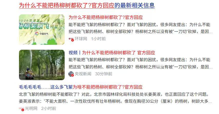 ——又到飞絮季！杨柳絮漫天惹人烦，治理需兼顾生态与民生！ 
 柳絮轻扬 飘絮过敏