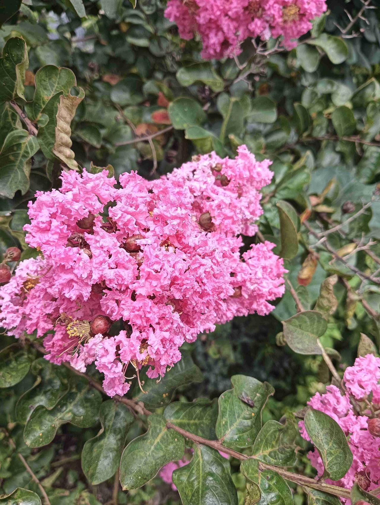 我的今日状态：😁轻松愉快
我这里的天气：🌤️多云