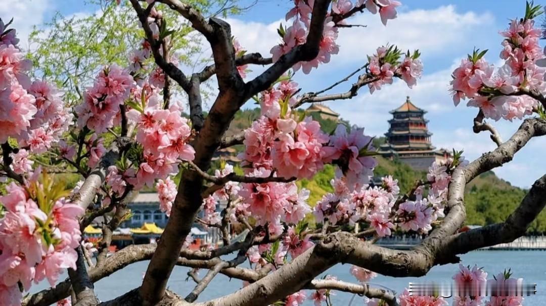 [锦鲤到来]你离职了，还会回到原公司上班吗？

不知道是不是太想念原来的公司，还