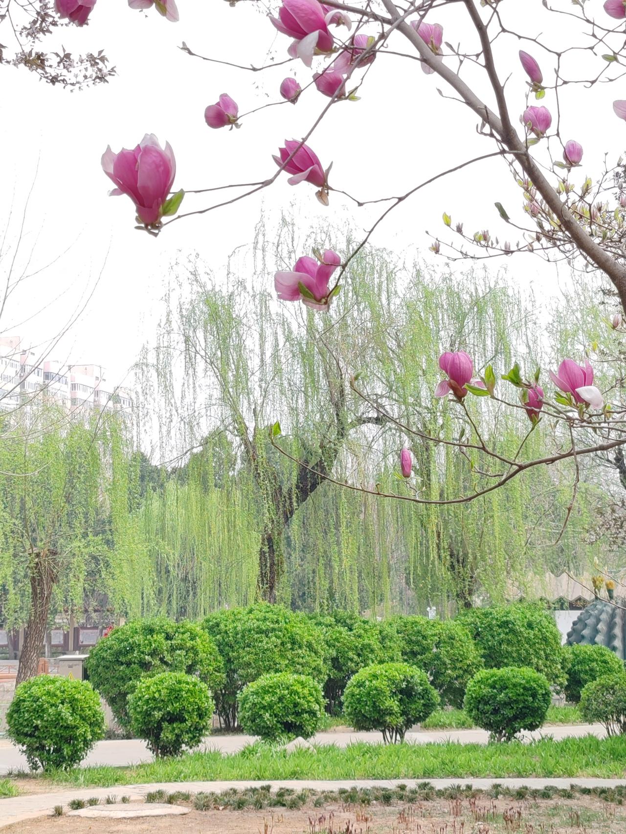 买不买先不说，给孩子五百块钱，让她自己拿主意。要是买便宜点的，剩下的钱就归她。要