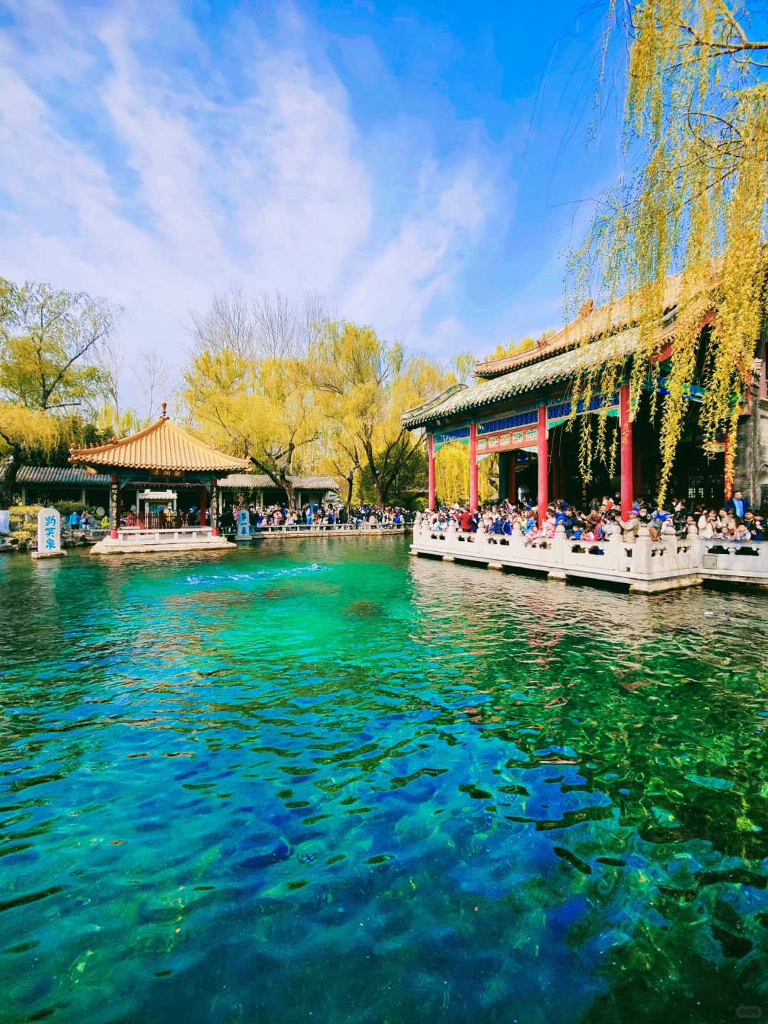 刚去完济南|但愿大家都能看到我这篇攻略❗