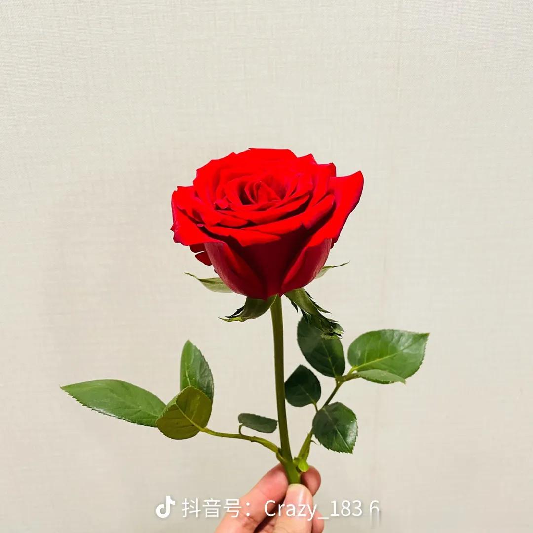 肖战 肖战于00:19发布生日微博，数字暗合YSL香港活动日期。文案落笔那一抹红