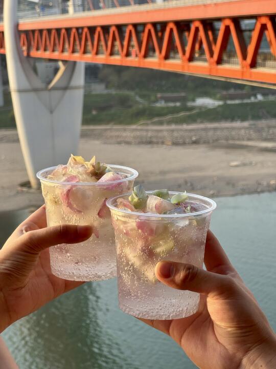 专门坐2h轻轨来洪崖洞吃这家火锅……