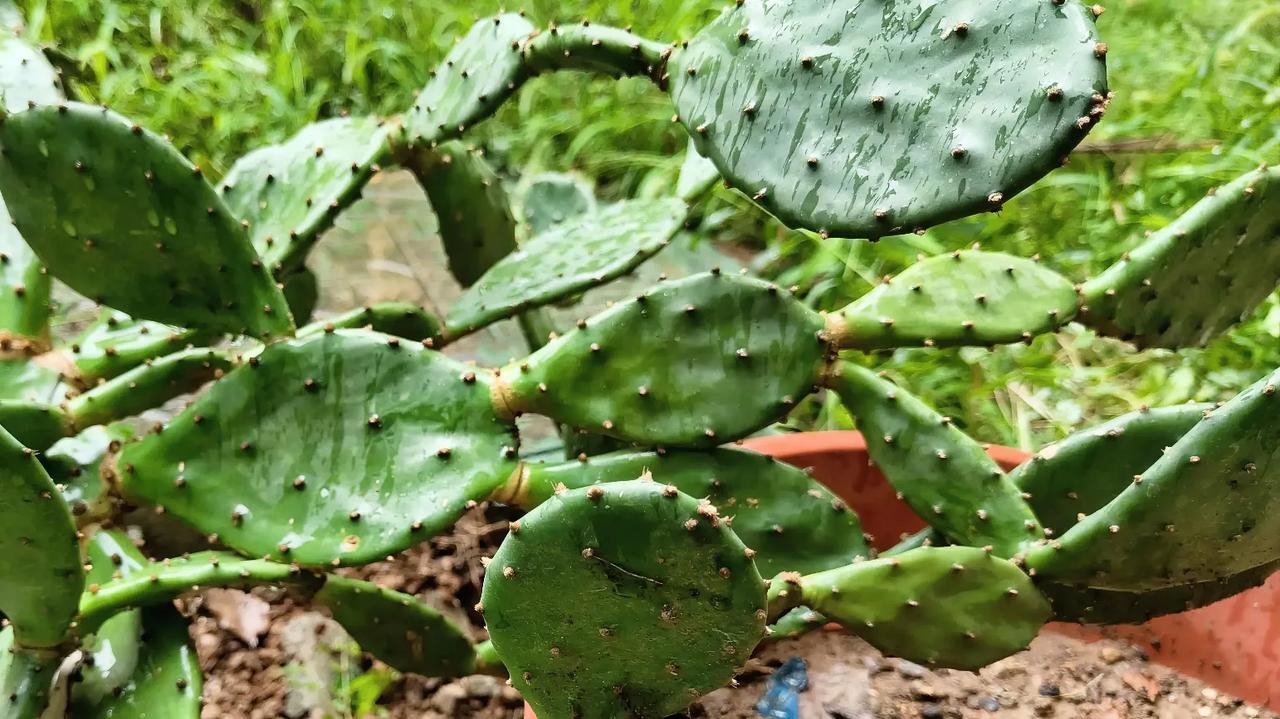 我有一位关系很好的同事，最近遭遇了一件烦心事。
她工作的区域就在我住的这栋楼，一