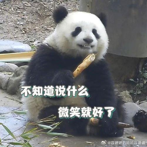 张雪峰心脏骤停，瞳孔扩散，进icu抢救。谁敢没事针对一个网络名人造谣啊，希望平安