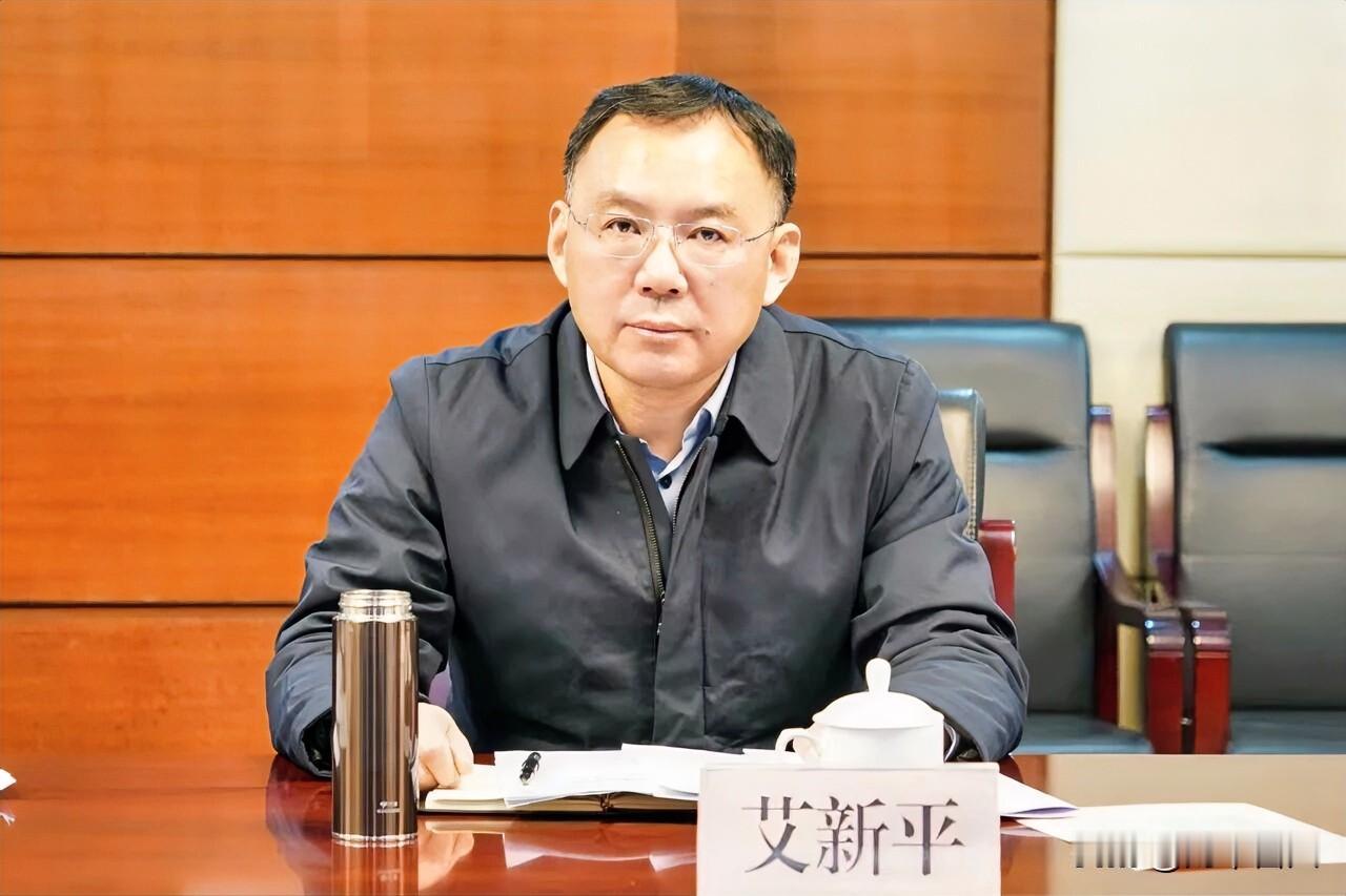 为高标准、高质量推进“十五五”时期法治徐州建设规划和“九五”普法规划，市委依法治