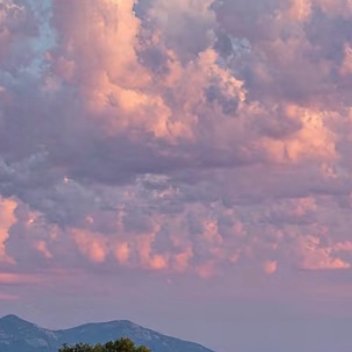 每日一善  每日一善   阳光信用 只把一件事做好，就是生活本初的节奏，再忙再累