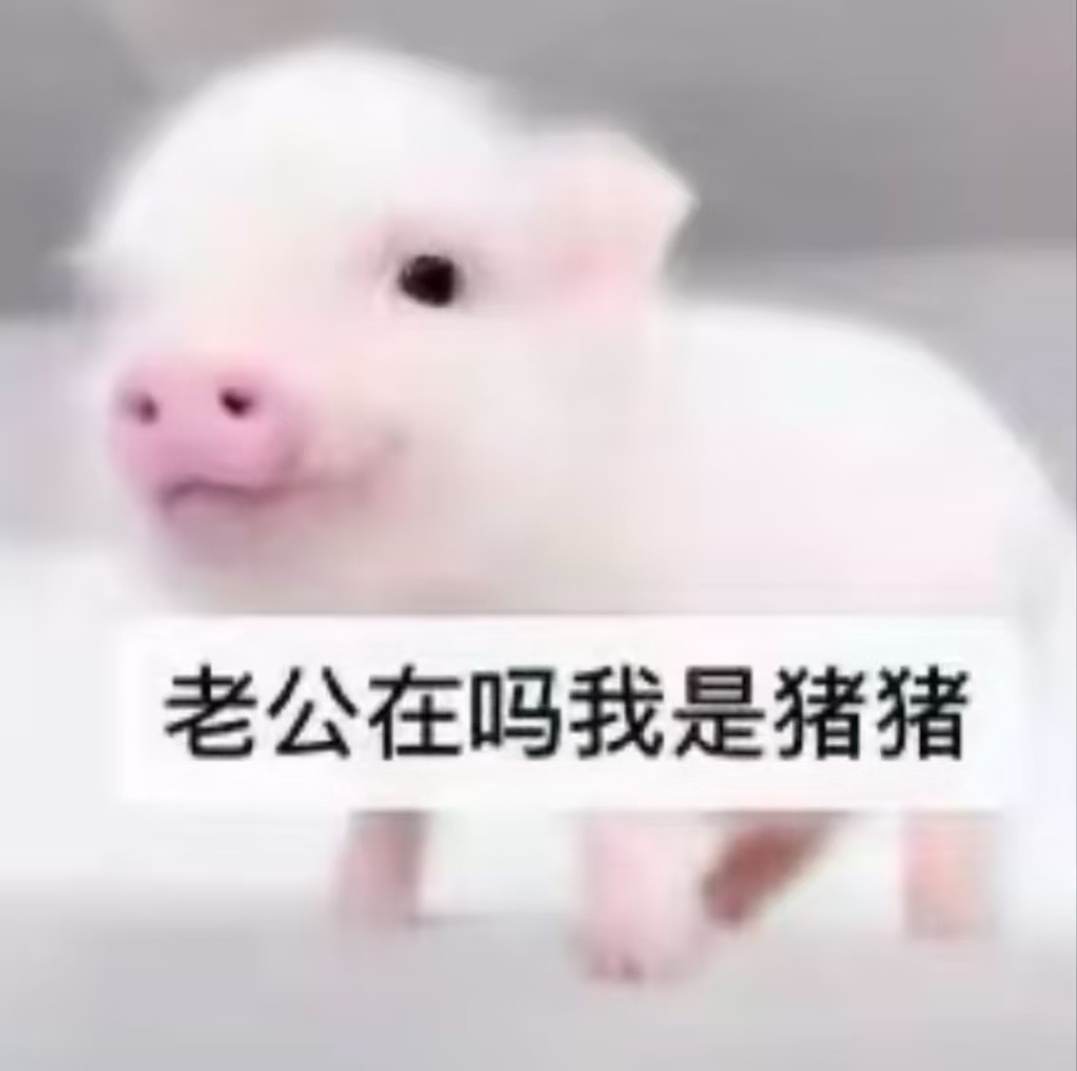 一想到明天还能看到我极的绝世容颜 我就笑的好猥琐 