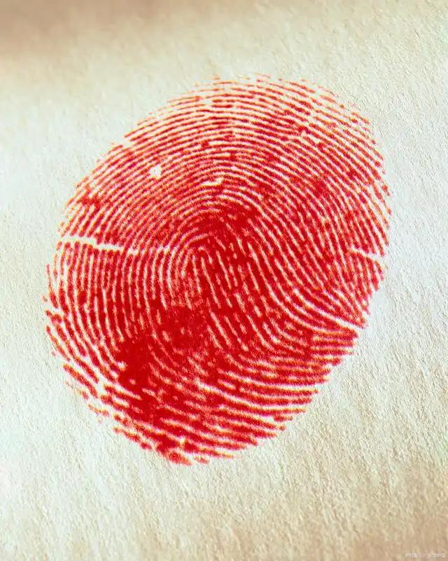 《指纹》

起初，祖父的指纹印在田埂的犁耙上，我们的指纹印在他背上的汗巾里。
