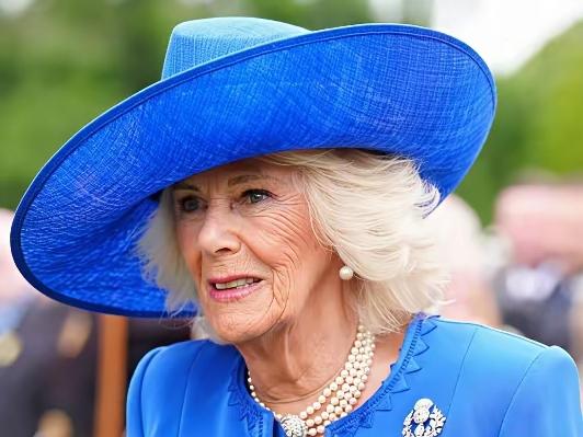 “识时务者为俊杰”，卡米拉该明白了！
没有王室的血脉！
没有家族的助力！
连查尔