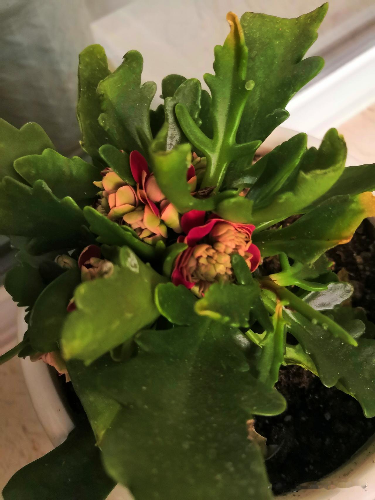 12月1号接到单位通知
轮流值班
现在大环境真的差到这种程度了吗
公司财务人员马