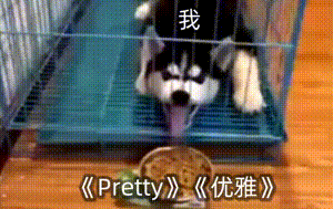 现在的我，上着班但也要又Pretty又优雅王鹤棣 ​​​