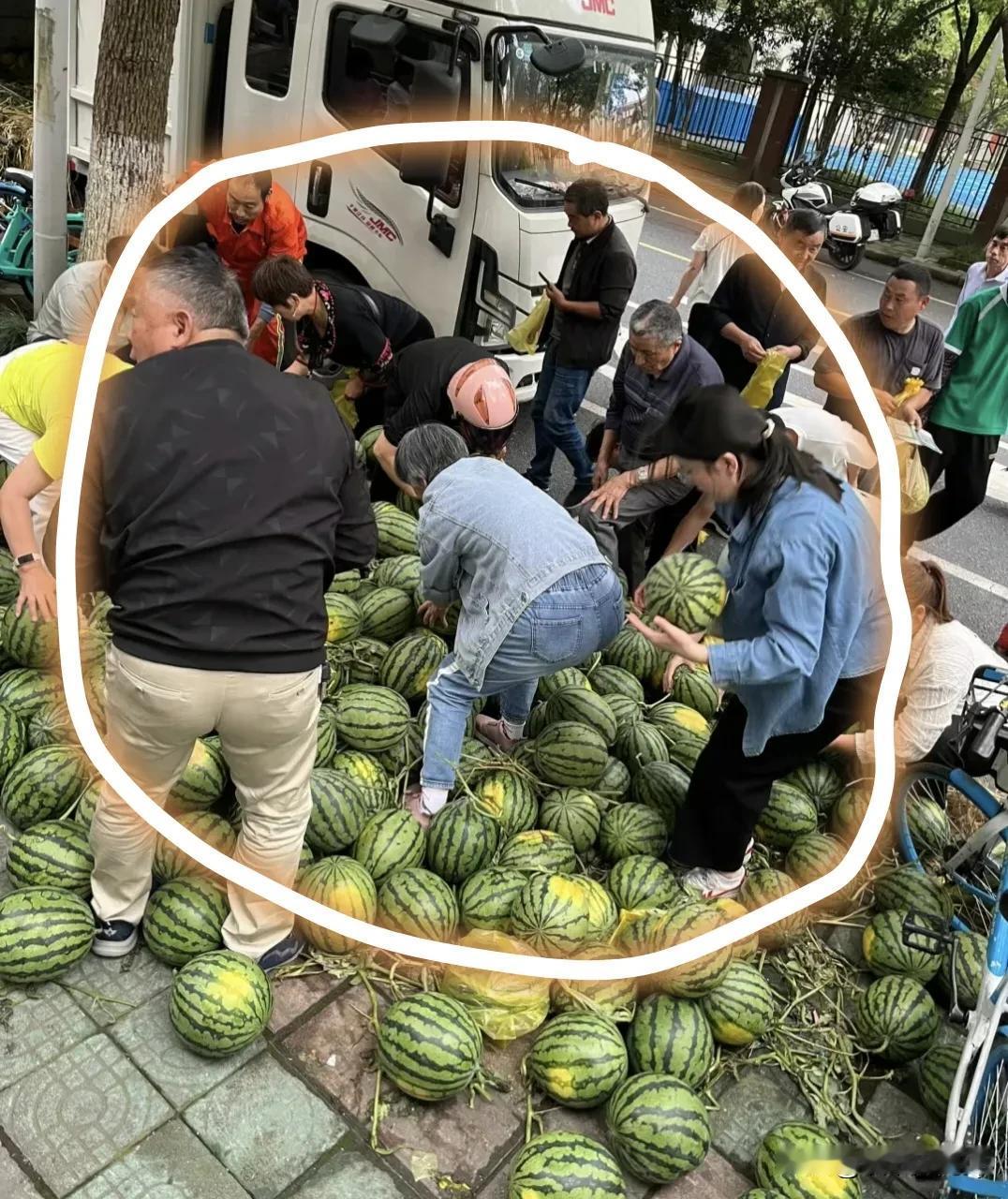 看来杭州生活不幸福，西瓜价格这么高！你看路边西瓜10元一个，竟然一大群人围着疯狂