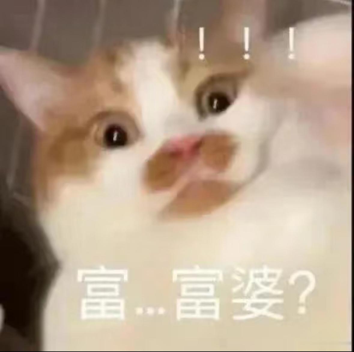 有预算抽430及以上的女神请狠狠私信我吧！张泽禹05后第一歌手 ​​​