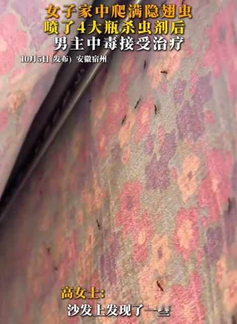 “悲剧还是发生了！”10月2日报道，安徽宿州，一女子家住32楼，由于最近持续下雨