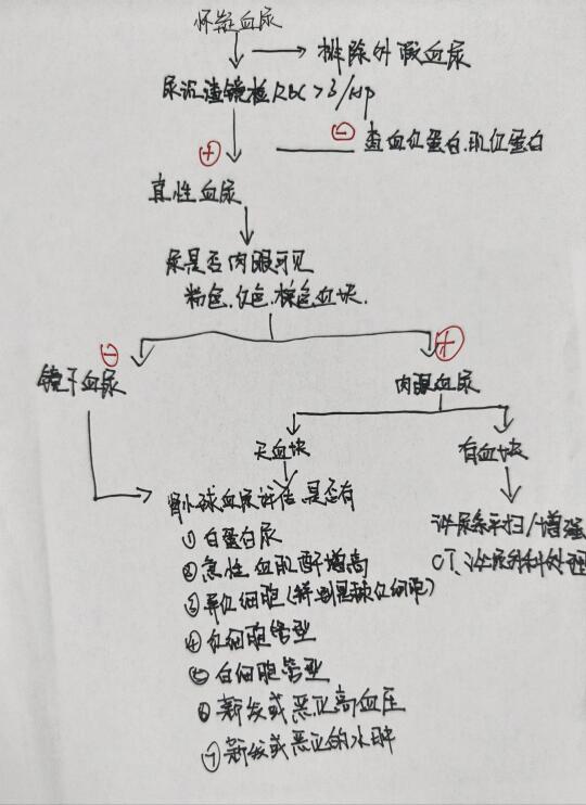 怀疑血尿审核流程