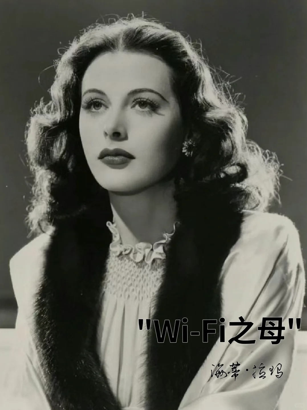 "我发明了wifi,人们却只关注我的美貌"😭