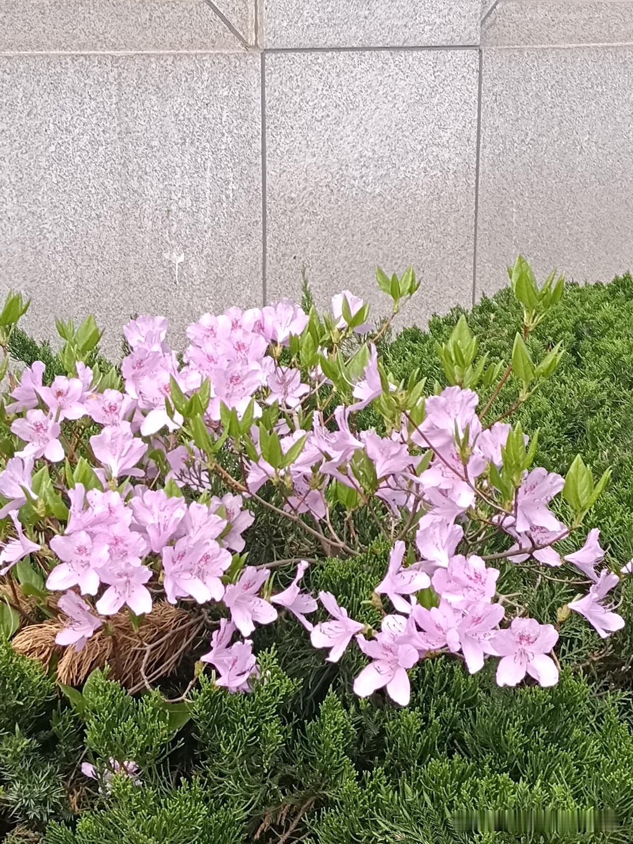 骨子里坏透了的人，通常有以下八个特征：
喜欢打探你的隐私，却对自己的事守口如瓶。