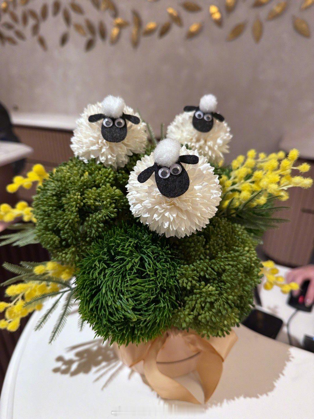 乒乓菊🏓🌼 ​​​