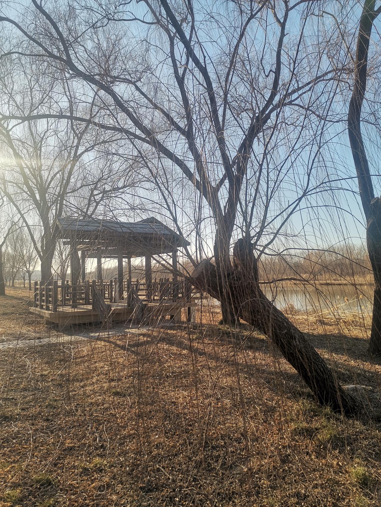 三九水未寒，游鸭戏飞燕。
    三九本应是天寒地冻之时，可今年却“三九水未寒”