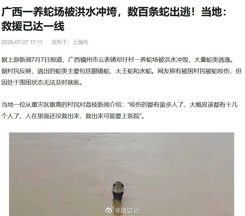 【广西横州：洪水致养蛇场数百条蛇逃窜】初步统计，从被冲垮养殖场出逃的蛇类约800