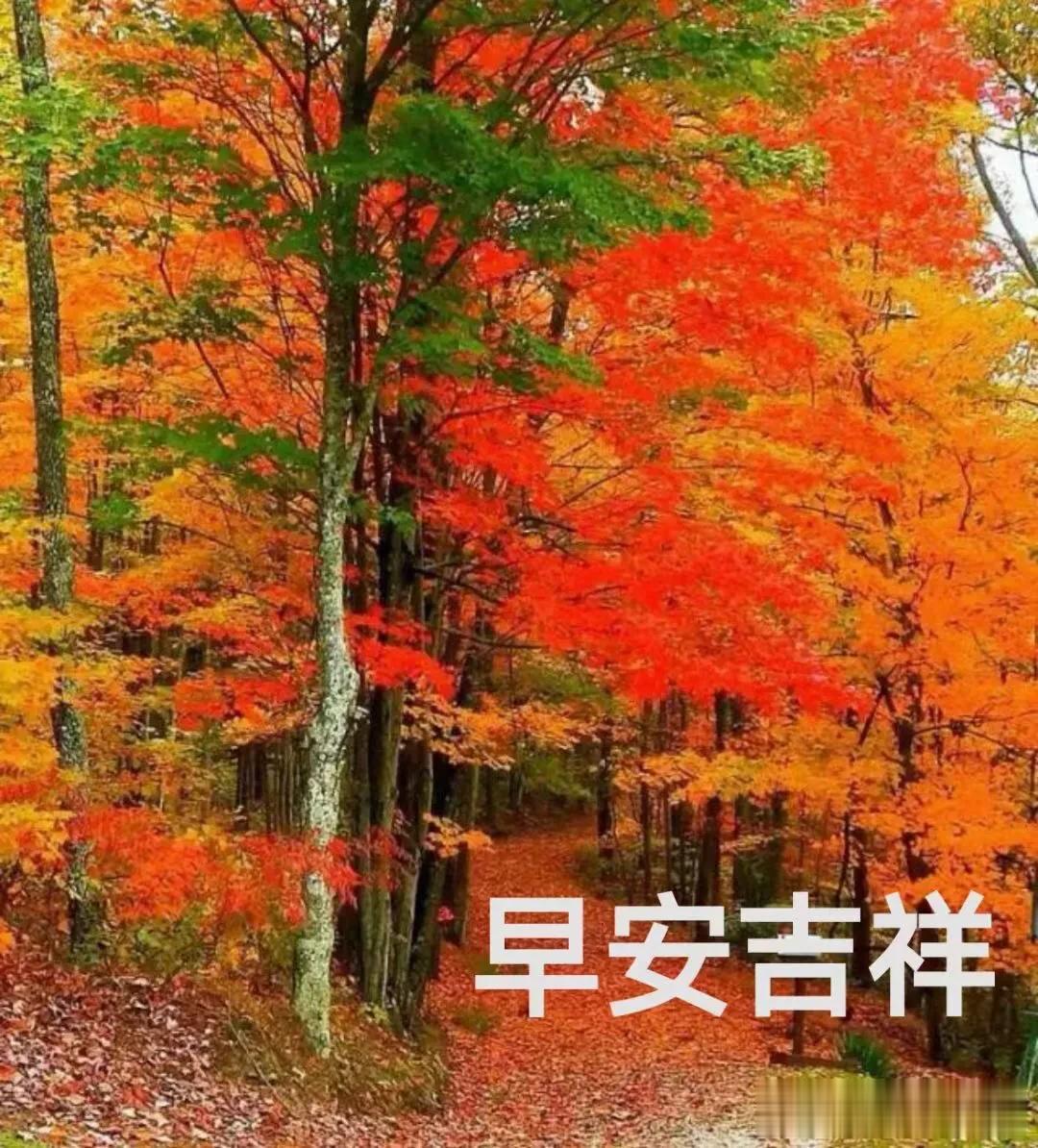 思想不在一个高度，尊重就好；三观不在一个层面，微笑就好。 永远要记住：位置不同，