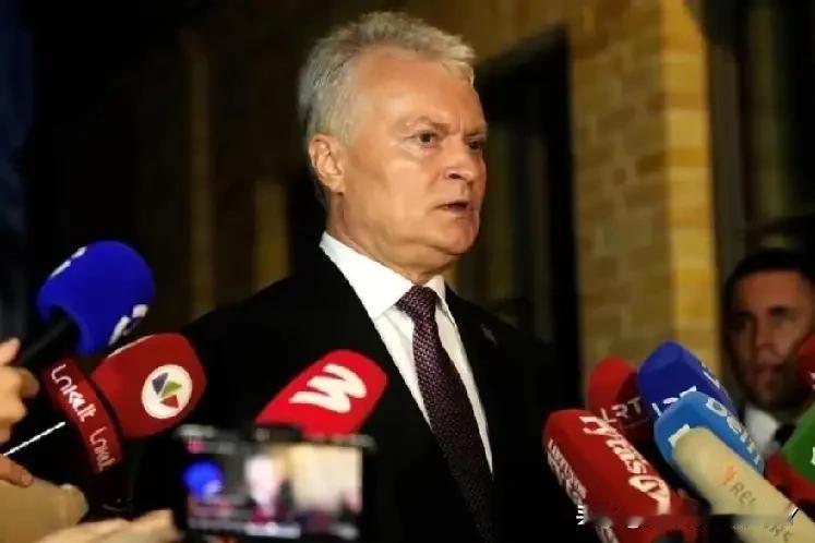 颠倒黑白！昨天，立陶宛总统瑙塞达对媒体说:“立陶宛因涉T问题遭中方强硬施压，但我