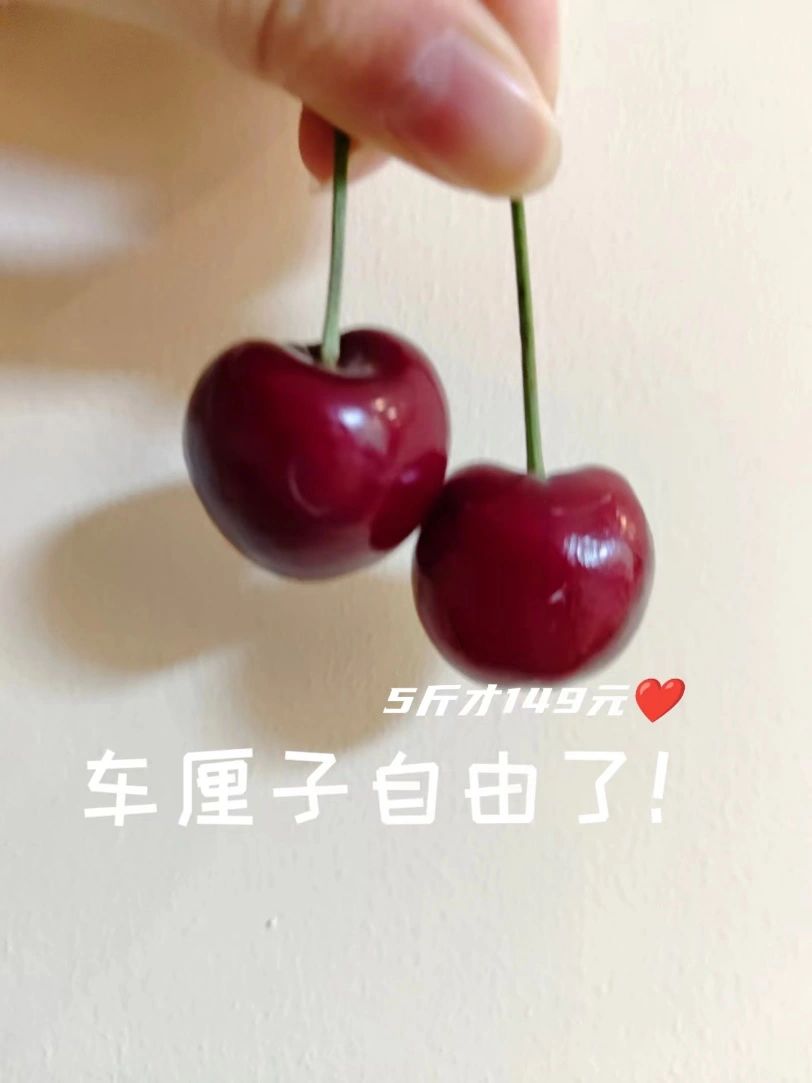 🔥车厘子5斤才149元！我直接下单了2箱！