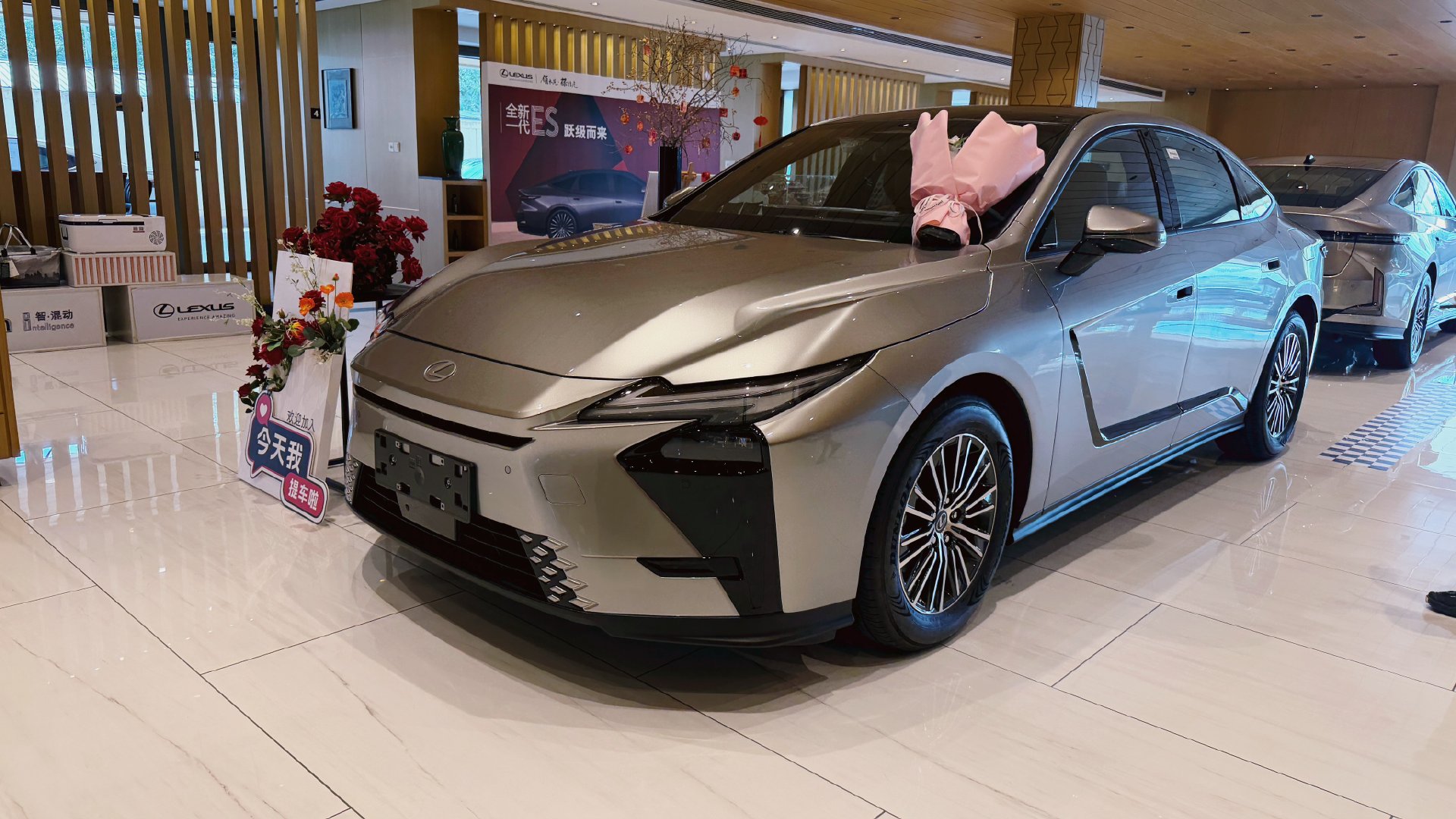 提车，选号！本想自选一个JDMxxx，结果编了50个愣一个没有孟大大的es