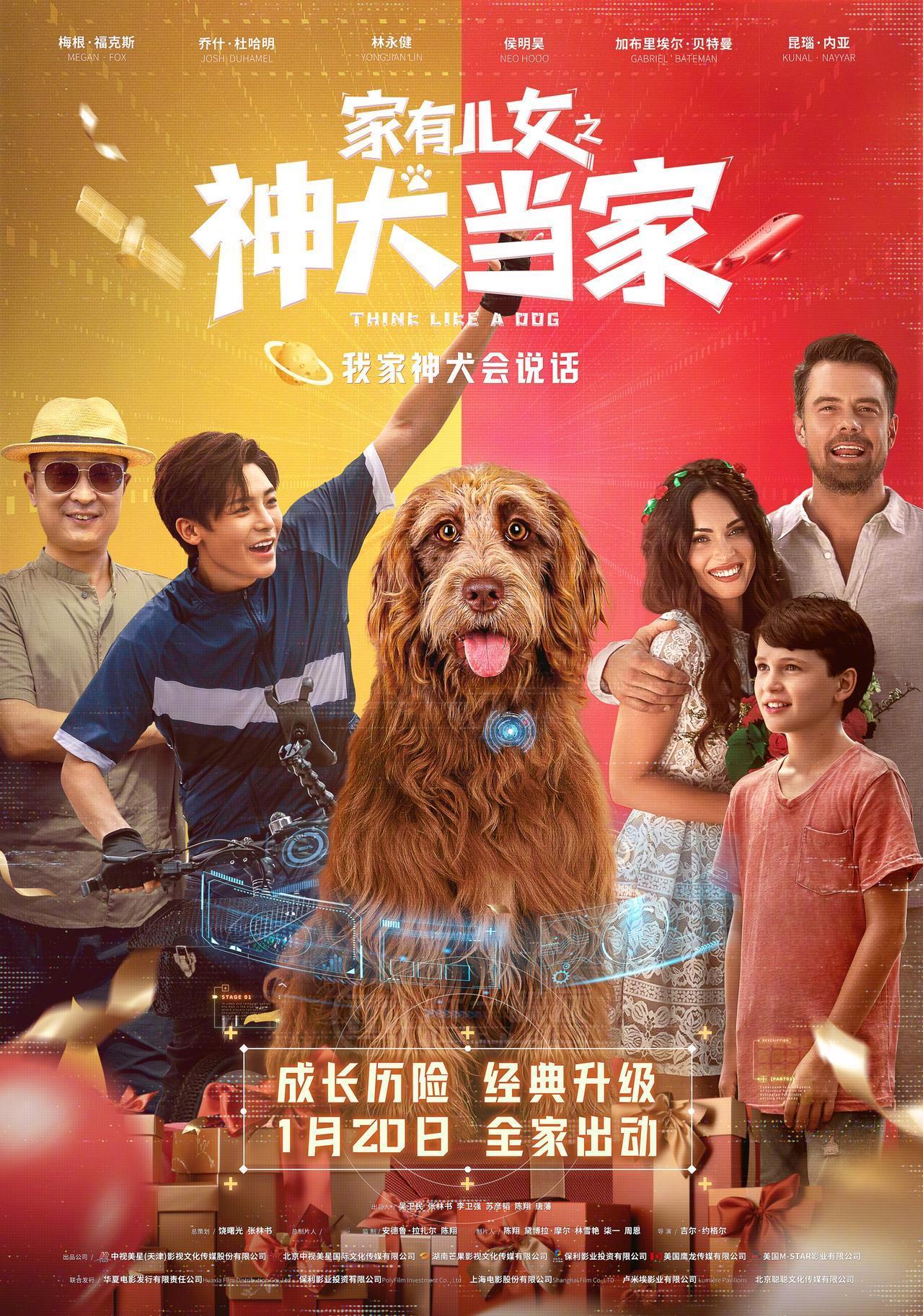 这和《家有儿女》有什么关系？？

这部名为《家有儿女之神犬当家》的新片，宣发时“