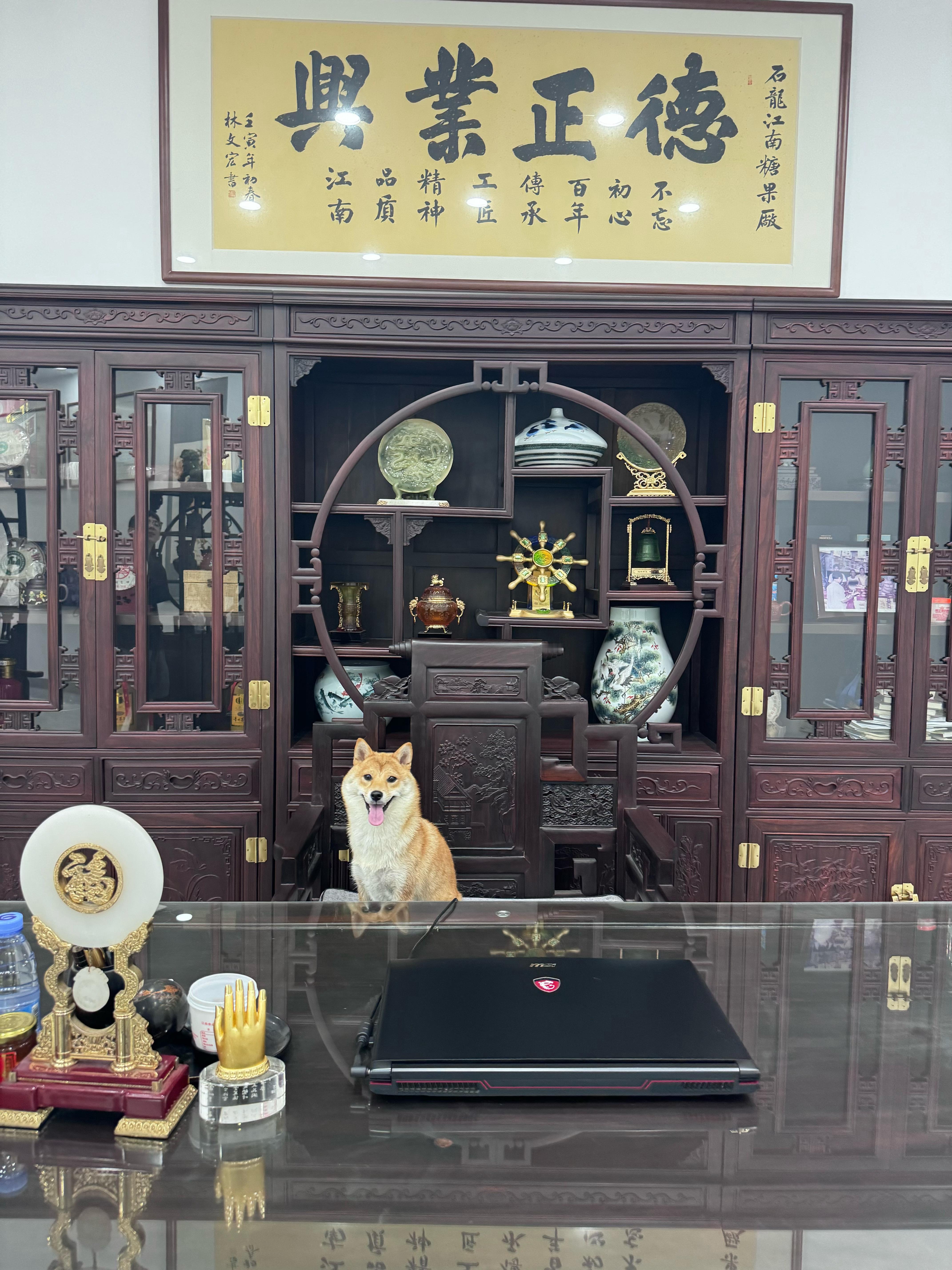 存档 ​​​