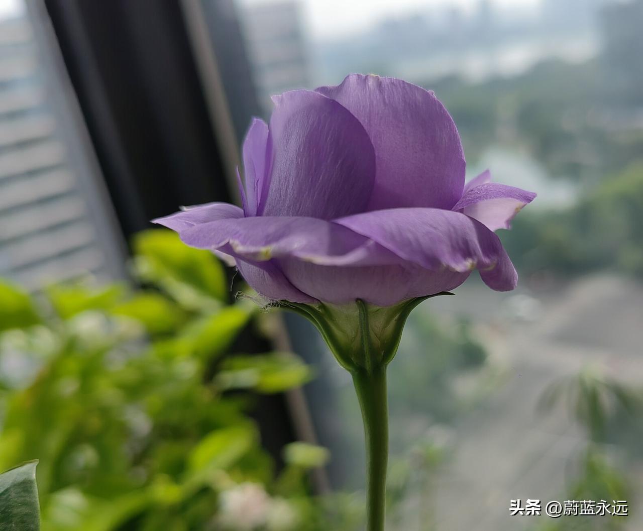 昨天我去实体店买了一条吊带裙给女儿，拿到家要女儿试试，结果小了点，说她不要，留给