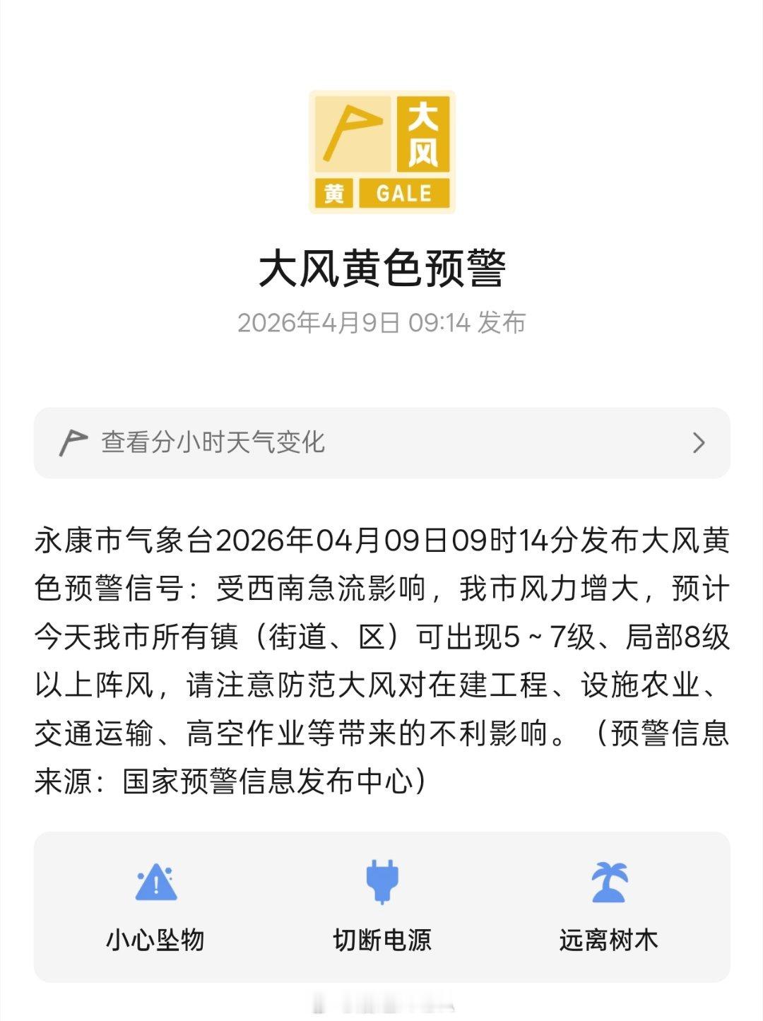 春天也有这么大风啊我的铁线莲都差点被吹断了，等着他开花呢，差点又前功尽弃