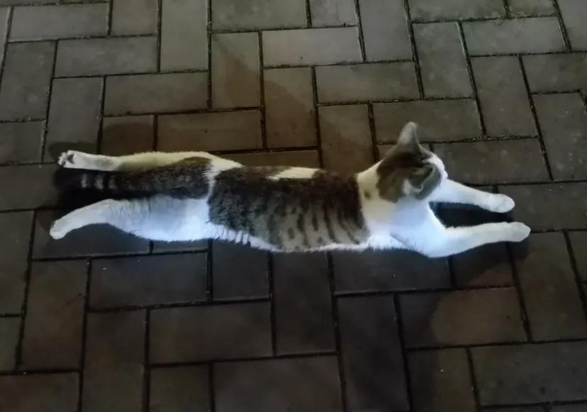 真的很讨厌把女孩子比成柔弱小动物
图文无关，睡前牢骚。经常在二次推女孩子经常被创