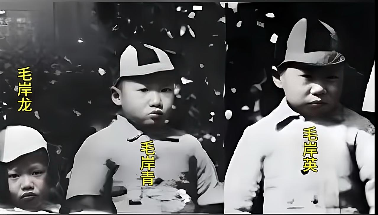 下图是毛泽东和杨开慧三个儿子最后的一张合影，照片被拍下时，杨开慧已遇害。

照片