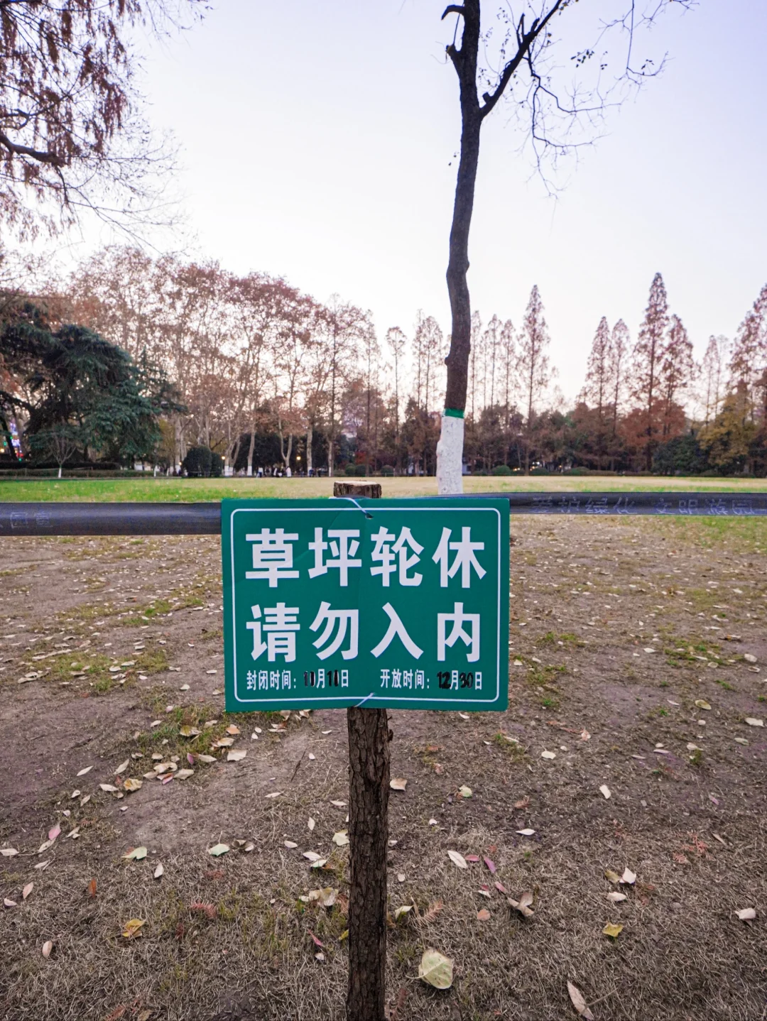 逍遥津的草居然有轮休👀我闺蜜：牛马没有