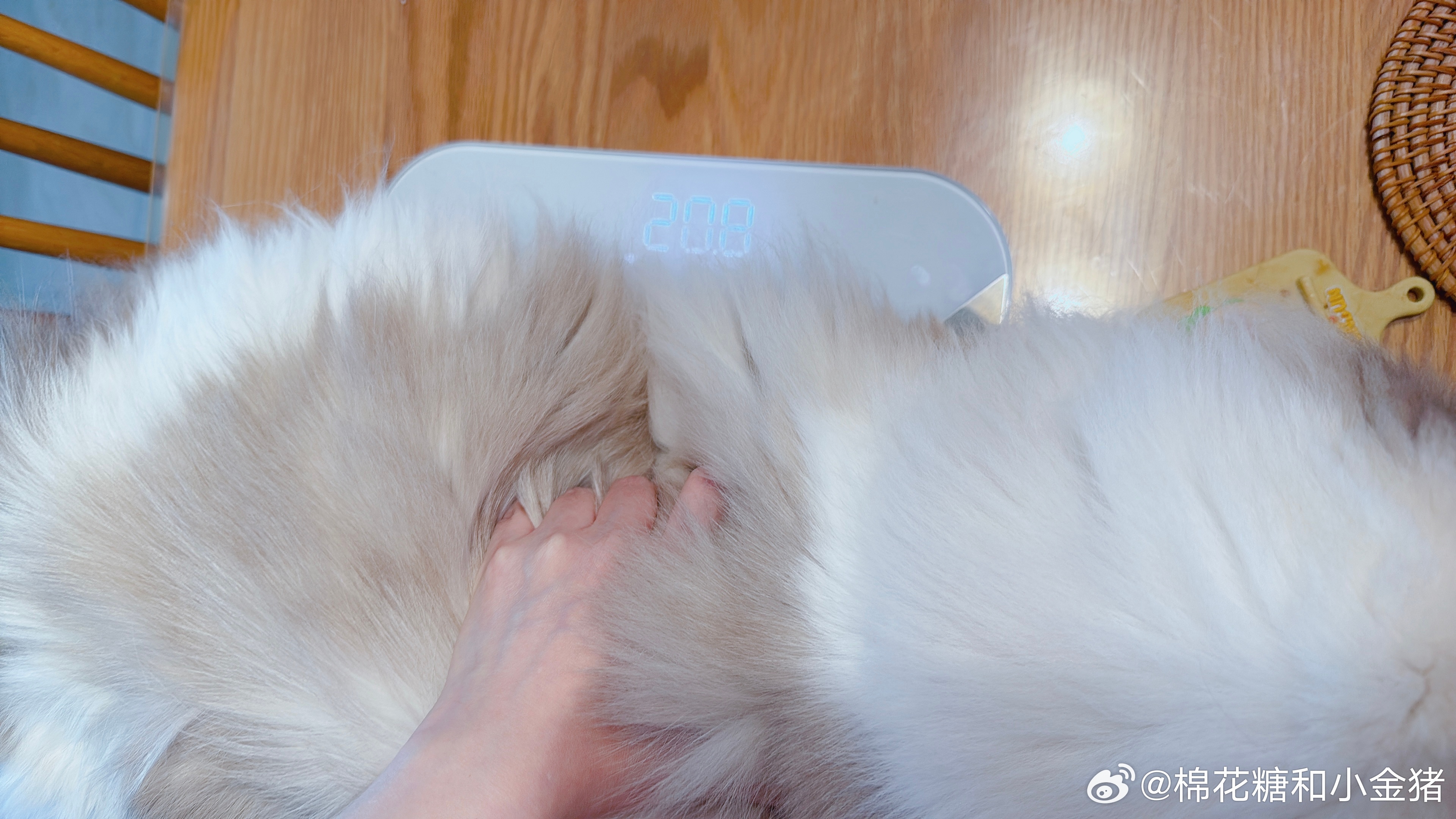 我称坏了 ​​​