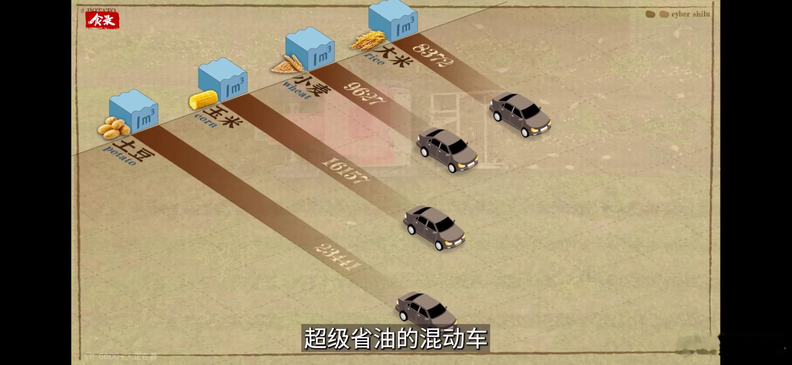 用汽车类比粮食，这个视角非常有意思。对农作物来说，水资源就像汽油一样珍贵，而现在