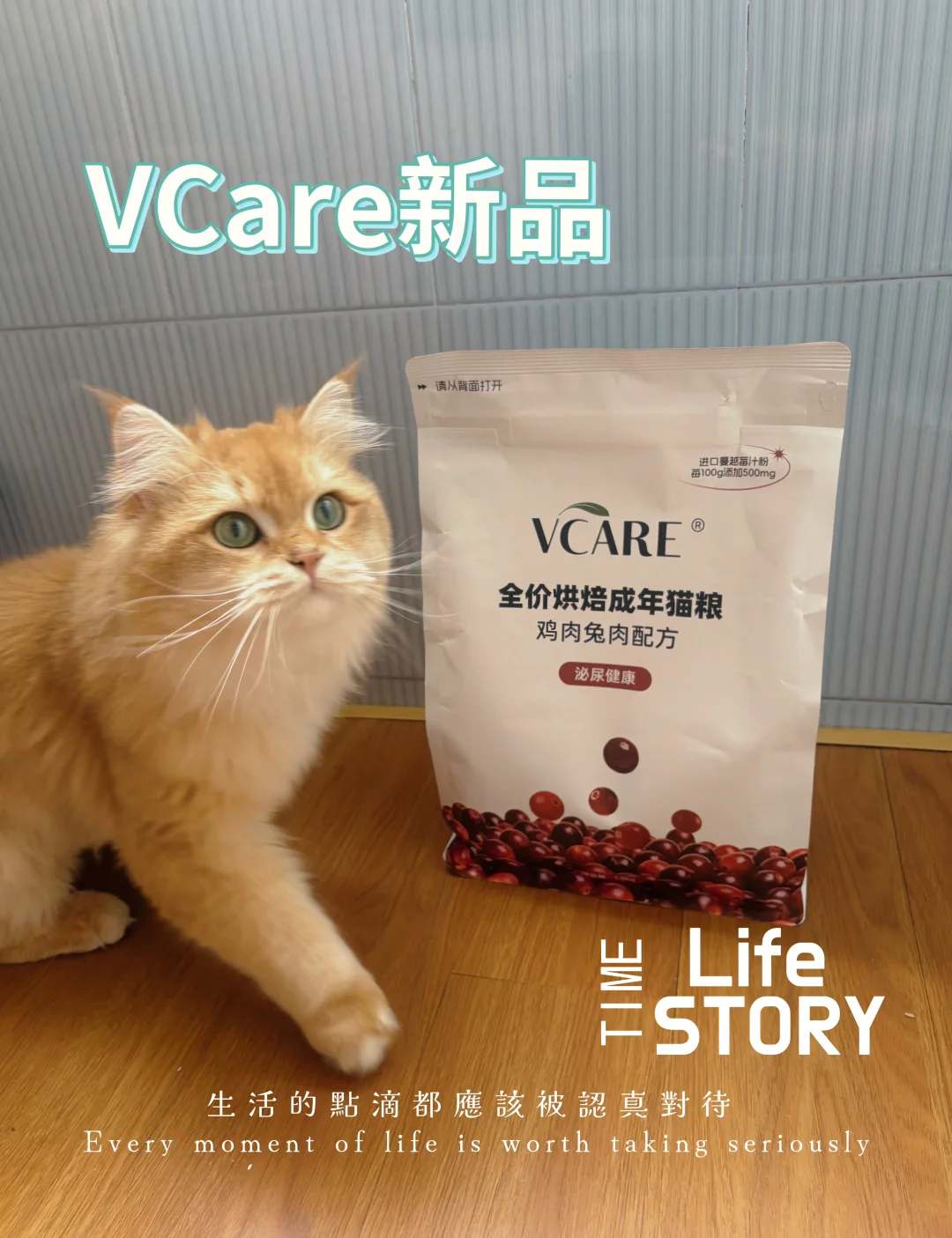 🐱公猫家长们！这篇能救命！别等尿闭才后悔！