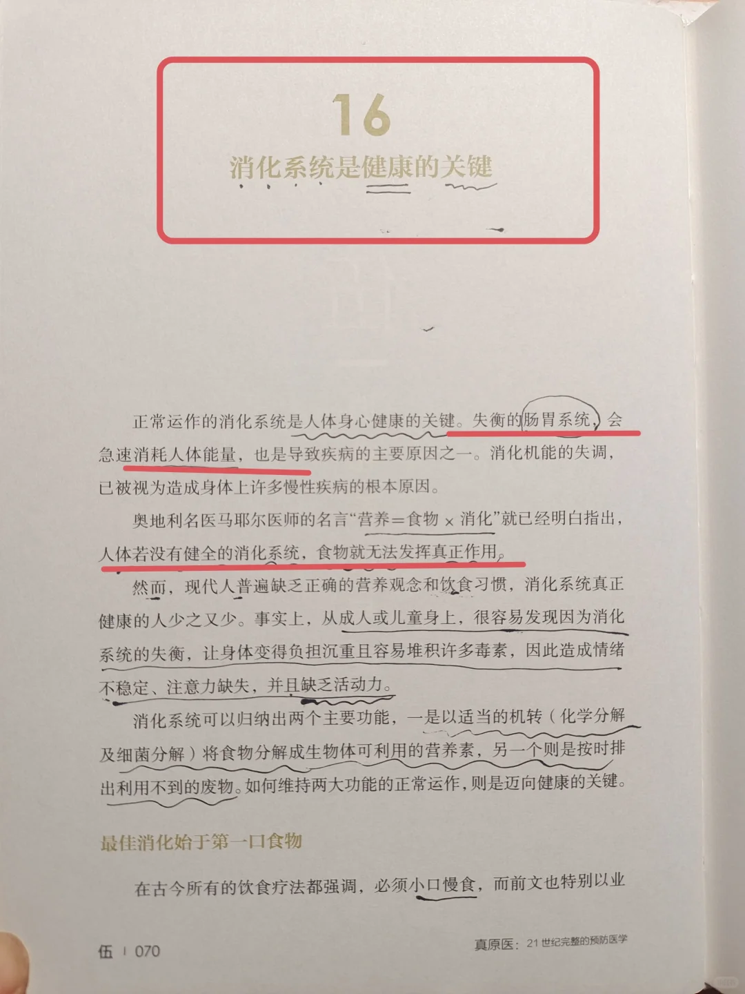 消化系统健康了，脸一天比一天干净🔥