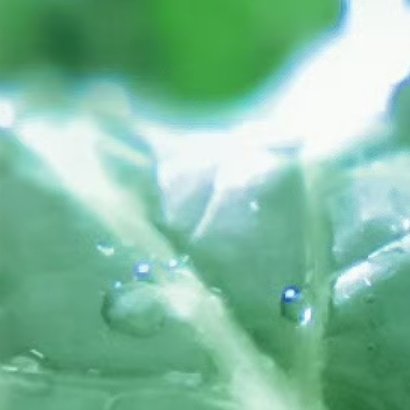 所谓成长，就是去接受任何在生命中发生的状况。即使是不幸的，不好的，也要去面对它，