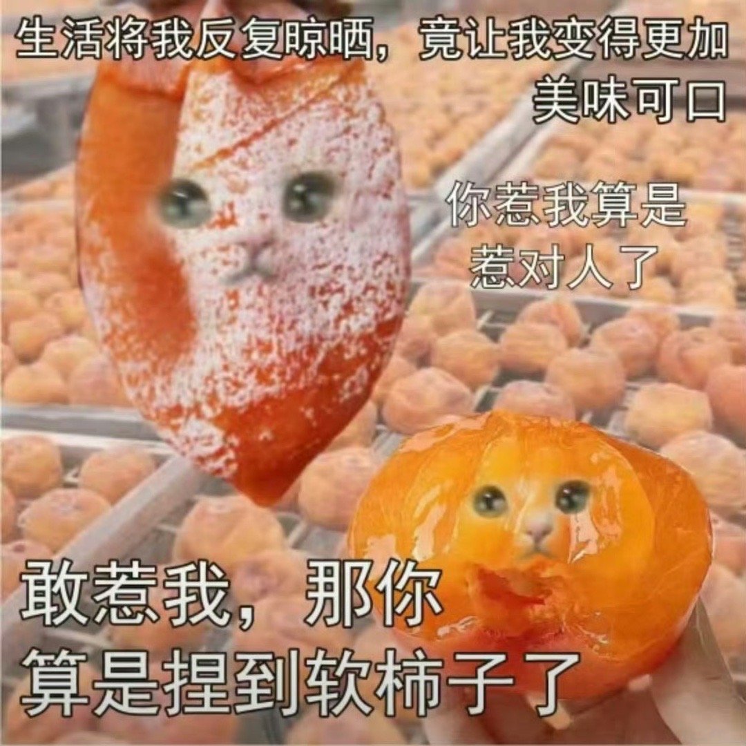 对不己 我是乐子人如果某些言论不小心冒犯到你抱歉那就冒犯到你了[老师爱你]关注之