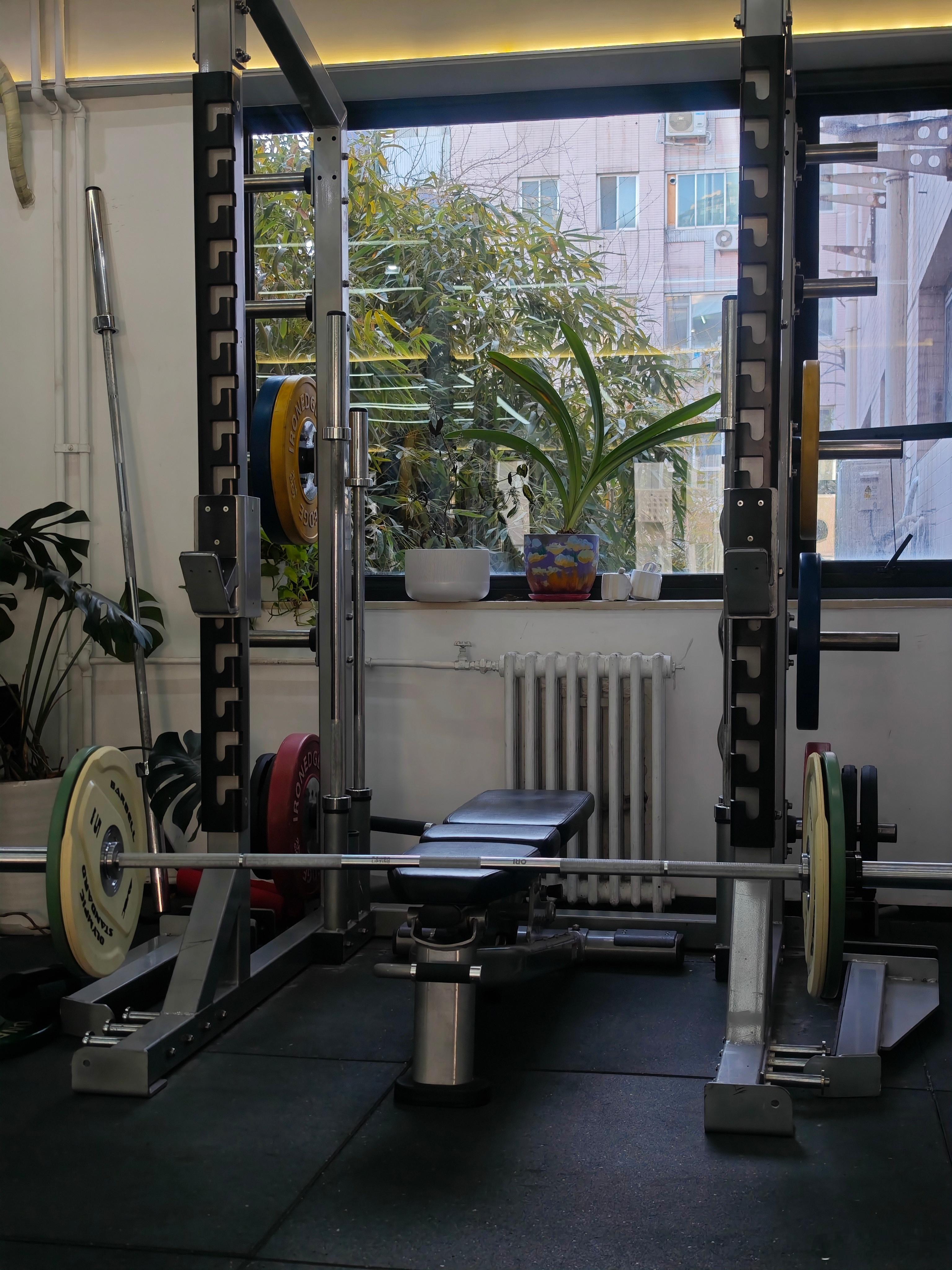 俯身杠铃划船40kg今天是硬拉初级选手了，拉起了65kg。罗拉这个玩意在我这儿老